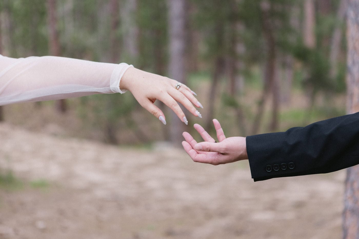 Bride and groom reach hands towards each other but don't touch among pine trees.
